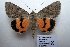  ( - 20360-050813-KA)  @14 [ ] Copyright (2013) Aidas Saldaitis Vilinus Ecological Institute