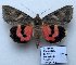  ( - 20365-070913-KA)  @12 [ ] Copyright (2013) Aidas Saldaitis Vilinus Ecological Institute