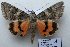  ( - 20367-310813-KY)  @14 [ ] Copyright (2013) Aidas Saldaitis Vilinus Ecological Institute
