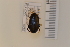  ( - 10077279)  @12 [ ] Unspecified (default): All Rights Reserved  Unspecified Unspecified
