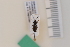 ( - 10077003)  @11 [ ] Unspecified (default): All Rights Reserved  Unspecified Unspecified