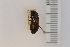  ( - 10076985)  @11 [ ] Unspecified (default): All Rights Reserved  Unspecified Unspecified