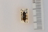  ( - 10077323)  @11 [ ] Unspecified (default): All Rights Reserved  Unspecified Unspecified