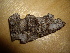  ( - O-F-253747)  @11 [ ] CreativeCommons - Attribution Non-Commercial Share-Alike (2017) Unspecified University of Oslo, Natural History Museum
