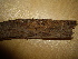  ( - O-F-253768)  @11 [ ] CreativeCommons - Attribution Non-Commercial Share-Alike (2017) Unspecified University of Oslo, Natural History Museum