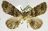  ( - PNG S8406)  @11 [ ] CreativeCommons - Attribution Share-Alike (2022) Unspecified Smithsonian Institution