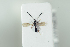  ( - HYMNI2188)  @11 [ ] CreativeCommons - Attribution Non-Commercial Share-Alike (2017) Arnstein Staverlokk Norwegian Institute of Nature Research
