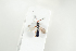  ( - HYMNI2103)  @12 [ ] CreativeCommons - Attribution Non-Commercial Share-Alike (2017) Arnstein Staverlokk Norwegian Institute of Nature Research