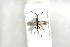  ( - HYMNI2080)  @11 [ ] CreativeCommons - Attribution Non-Commercial Share-Alike (2017) Arnstein Staverlokk Norwegian Institute of Nature Research