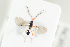  ( - HYMNI2141)  @11 [ ] CreativeCommons - Attribution Non-Commercial Share-Alike (2017) Arnstein Staverlokk Norwegian Institute of Nature Research