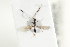  ( - HYMNI1959)  @13 [ ] CreativeCommons - Attribution Non-Commercial Share-Alike (2017) Arnstein Staverlokk Norwegian Institute of Nature Research