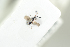  ( - HYMNI1968)  @11 [ ] CreativeCommons - Attribution Non-Commercial Share-Alike (2017) Arnstein Staverlokk Norwegian Institute of Nature Research