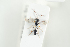  ( - HYMNI2159)  @11 [ ] CreativeCommons - Attribution Non-Commercial Share-Alike (2017) Arnstein Staverlokk Norwegian Institute of Nature Research