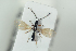  ( - HYMNI2256)  @11 [ ] CreativeCommons - Attribution Non-Commercial Share-Alike (2017) Arnstein Staverlokk Norwegian Institute of Nature Research