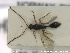  ( - HYMNI2735)  @11 [ ] Creative Commons  Attribution Non-Commercial Share-Alike (2020) NTNU University Museum, Department of Natural History Unspecified