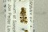  ( - NHMO-288010)  @11 [ ] CreativeCommons - Attribution Non-Commercial Share-Alike (2017) Unspecified University of Oslo, Natural History Museum