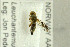  ( - NHMO-282238)  @11 [ ] CreativeCommons - Attribution Non-Commercial Share-Alike (2017) Unspecified University of Oslo, Natural History Museum