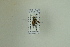  ( - NHMO-DAR-12475)  @12 [ ] CreativeCommons - Attribution Non-Commercial Share-Alike (2017) Unspecified University of Oslo, Natural History Museum