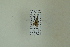  ( - NHMO-DAR-12474)  @12 [ ] CreativeCommons - Attribution Non-Commercial Share-Alike (2017) Unspecified University of Oslo, Natural History Museum