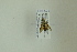  ( - NHMO-DAR-12468)  @11 [ ] CreativeCommons - Attribution Non-Commercial Share-Alike (2017) Unspecified University of Oslo, Natural History Museum