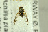  ( - NHMO-288022)  @12 [ ] CreativeCommons - Attribution Non-Commercial Share-Alike (2017) Unspecified University of Oslo, Natural History Museum