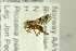 ( - NHMO-282266)  @12 [ ] CreativeCommons - Attribution Non-Commercial Share-Alike (2017) Unspecified University of Oslo, Natural History Museum