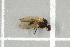  ( - NHMO-DAR-12217)  @12 [ ] CreativeCommons - Attribution Non-Commercial Share-Alike (2017) Unspecified University of Oslo, Natural History Museum