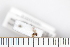  ( - Dro_37_10033425)  @12 [ ] Unspecified (default): All Rights Reserved  Unspecified Unspecified