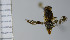  ( - NHMO10070169)  @11 [ ] No Rights Reserved (2013) Unspecified Univeristy of Oslo, Natural History Museum