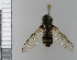  ( - NHMO10070285)  @11 [ ] No Rights Reserved (2013) Unspecified University of Oslo, Natural History Museum