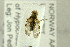  ( - NHMO-287881)  @12 [ ] CreativeCommons - Attribution Non-Commercial Share-Alike (2017) Unspecified University of Oslo, Natural History Museum