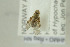  ( - NHMO-287883)  @12 [ ] CreativeCommons - Attribution Non-Commercial Share-Alike (2017) Unspecified University of Oslo, Natural History Museum