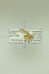  ( - NHMO-DAR-12708)  @11 [ ] CreativeCommons - Attribution Non-Commercial Share-Alike (2017) Unspecified University of Oslo, Natural History Museum