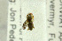  ( - NHMO-287867)  @12 [ ] CreativeCommons - Attribution Non-Commercial Share-Alike (2017) Unspecified University of Oslo, Natural History Museum