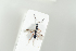  ( - HYMNI2076)  @12 [ ] CreativeCommons - Attribution Non-Commercial Share-Alike (2017) Arnstein Staverlokk Norwegian Institute of Nature Research