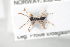  ( - HYMNI712)  @11 [ ] CreativeCommons - Attribution Non-Commercial Share-Alike (2014) Arnstein Staverlokk Norwegian Institute of Nature Research