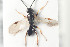 ( - HYMNI986)  @12 [ ] CreativeCommons - Attribution Non-Commercial Share-Alike (2015) Arnstein Staverlokk Norwegian Institute of Nature Research