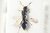  ( - HYMNI991)  @14 [ ] CreativeCommons - Attribution Non-Commercial Share-Alike (2015) Arnstein Staverlokk Norwegian Institute of Nature Research
