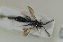  ( - HYMNI1207)  @12 [ ] CreativeCommons - Attribution Non-Commercial Share-Alike (2015) Arnstein Staverlokk Norwegian Institute of Nature Research