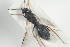  ( - HYMNI869)  @13 [ ] CreativeCommons - Attribution Non-Commercial Share-Alike (2014) Arnstein Staverlokk Norwegian Institute of Nature Research