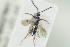  ( - HYMNI1356)  @11 [ ] CreativeCommons - Attribution Non-Commercial Share-Alike (2016) Arnstein Staverlokk Norwegian Institute of Nature Research