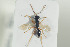  ( - HYMNI1325)  @12 [ ] CreativeCommons - Attribution Non-Commercial Share-Alike (2016) Arnstein Staverlokk Norwegian Institute of Nature Research