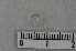 ( - CE25643)  @11 [ ] CreativeCommons - Attribution Non-Commercial Share-Alike (2018) Christer Erseus University of Gothenburg