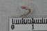  ( - CE26266)  @11 [ ] CreativeCommons - Attribution Non-Commercial Share-Alike (2018) Christer Erseus University of Gothenburg