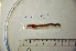  ( - NHMO-LUM00018)  @12 [ ] Copyright  NHMO Unspecified