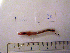  ( - NHMO-LUM00020)  @12 [ ] Copyright  NHMO Unspecified