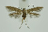  ( - BC_LSNOE_Lep_01281)  @11 [ ] CreativeCommons - Attribution Non-Commercial Share-Alike (2018) Wolfgang Stark Landessammlungen Niederösterreich