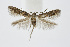  ( - BC_LSNOE_Lep_01489)  @13 [ ] CreativeCommons - Attribution Non-Commercial Share-Alike (2018) Wolfgang Stark Landessammlungen Niederösterreich