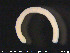  ( - CE23483)  @11 [ ] CreativeCommons - Attribution Non-Commercial Share-Alike (2015) NTNU University Museum, Department of Natural History NTNU University Museum, Department of Natural History