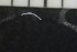  (Marionina sp - CE23571)  @11 [ ] CreativeCommons - Attribution Share-Alike (2017) Christer Erséus University of Gothenburg